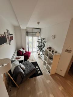 Apartman-Stefanovic - Vranje - 9