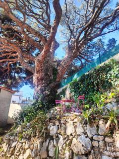 studio la mimosette - Cannes - 3