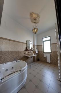 Hotel Boutique ANEMONA - Craiova - 3