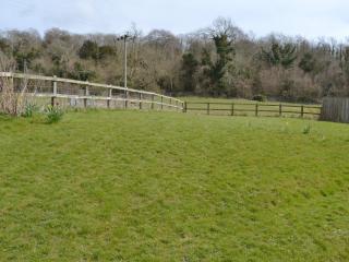 The Bull Pen - 17320 - Compton - 5