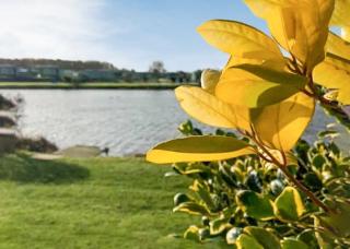 Herons Mead Lodges - Orby - 7