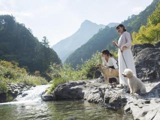 Matsusaka Doggie Paradise Hotel Smeall - Matsuzaka - 9