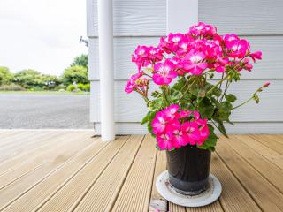 Maungatapu Studio 2 - Rangataua Holiday Home - Ohakune - 5