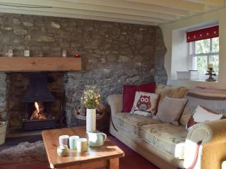 Woodlands Cottage - Freystrop - 8