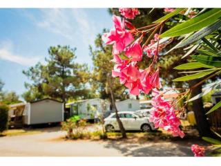 Camping 4 étoiles - Piscine - ccb0e0h - Torreilles - 5