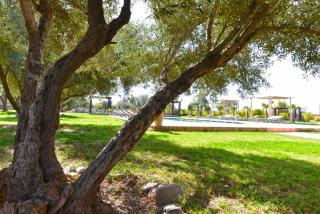 Villa Agora, Villa à la campagne proche Marrakech - 3