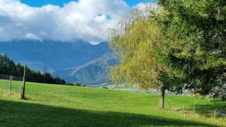 Ferienhaus mit Bergblick auf die Kremsmauer - ruhig und hundefreundlich - 3
