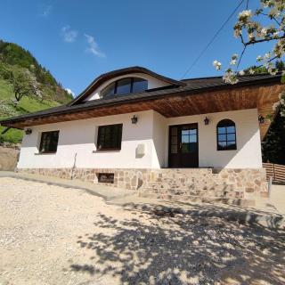 Casa Sena - Moieciu de Sus - 9