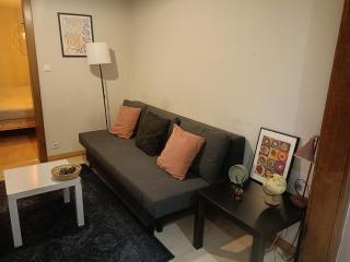 Appartement 2 pieces Hypercentre Strasbourg - 6