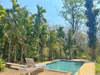 Dandeli Buddha Tree - Dandeli - 2