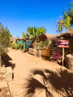 Sunshine-divers club - Sharm El Sheikk - 7