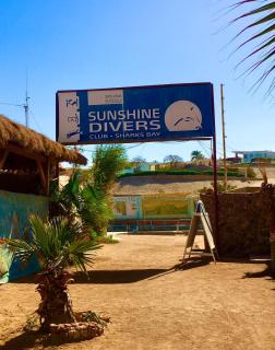 Sunshine-divers club - Sharm El Sheikk - 2