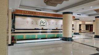 Mehmonsaroy Tajikistan - Dushanbe - 3