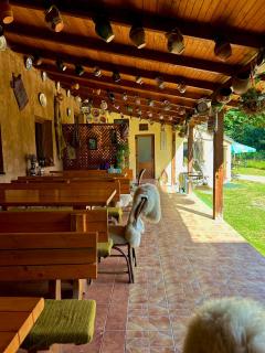 Green Mountain Resort - Scrind-Frăsinet - 9
