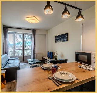 Chez Dams I T2 I Annecy - Annecy - 5