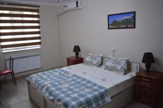 Apartment include a bedroom a bathroom a kitchen - Khiva - 9