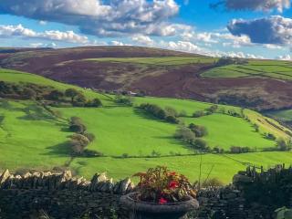 Penny Croft - Uk10449 - Llangeinor - 1