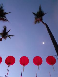 Appart Bénitier 3 étoiles - Ermitage centre à 2 min du Lagon - 0