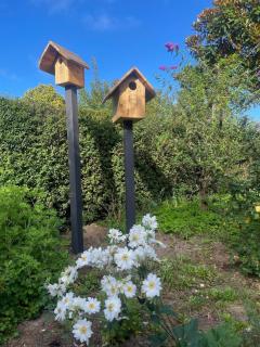 Cobblers Cottage - Bundanoon - 7