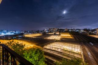 Boho Boutique Da Lat - View nhà lồng lãng mạn - 9