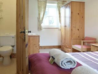 Cothi Cottage - Llanfynydd - 2