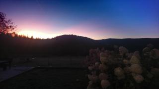 La Ferme Du Levant - 0