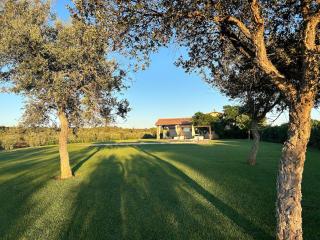 Tenuta di Cosa - Ansedónia - 5