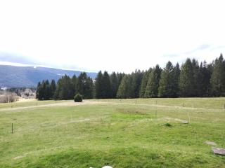 La Ferme Du Levant - Gérardmer - 7