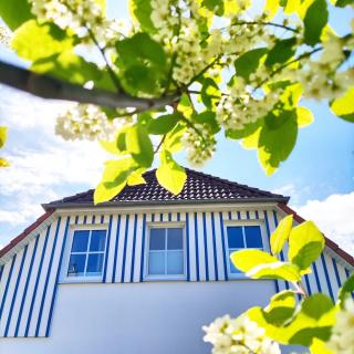 Kranichwiese FW 1 - Zingst - 9