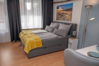 Treibholz - Norderney - 0