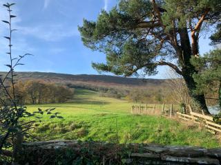 White Haywood Farmhouse - Hereford - 4
