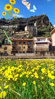 Casas Natura - Graus - 9