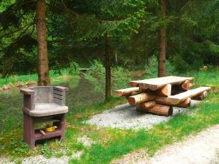 Apartment in a charming location on Forellenhof, Zorn Valley, Dabo - Dabo - 6