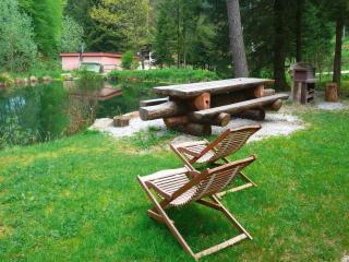 Apartment in a charming location on Forellenhof, Zorn Valley, Dabo - Dabo - 2
