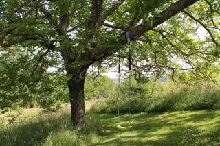Relax in Nature Your Cozy, Fully Furnished Bell Tent Awaits - 1