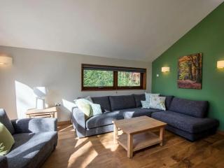 Thorpe Forest Cabins - Forest Holidays - 4