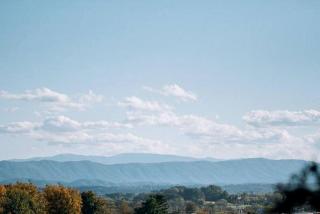 Romantic Suite Rental with Terrace and Chimenea near Gatlinburg, Tennessee - Knoxville - 3
