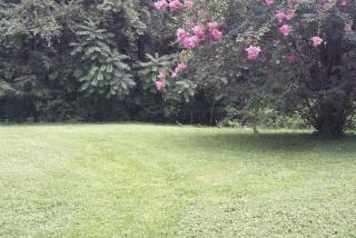 Romantic Suite Rental with Terrace and Chimenea near Gatlinburg, Tennessee - Knoxville - 2