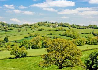 Andrewshayes Orchard Retreat - Axminster - 2