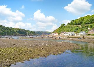 Fishguard Holiday Park - Fishguard - 3