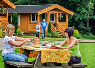 Heronstone Lodges - Ystalyfera - 8