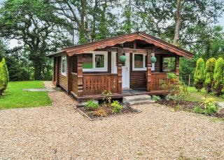 Heronstone Lodges - Ystalyfera - 6