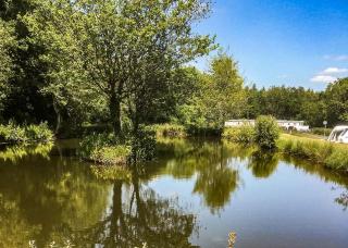 Lyons Gate Holiday Park - Cerne Abbas - 3