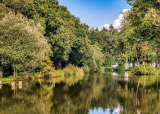 Lyons Gate Holiday Park - Cerne Abbas - 2