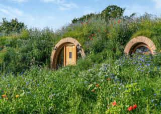 Luckington Burrows - Frome - 4
