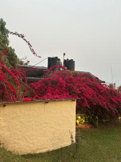 Hotel Tourist Residency - Pokhara - 2