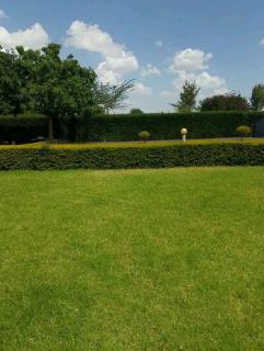 Burguret Kilele Guest House - Nanyuki - 7