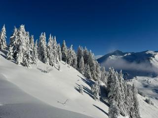 Monkey Barn Morzine Les Gets - 2