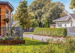 Roydon Marina Village - Roydon - 8