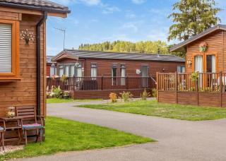 Roydon Marina Village - Roydon - 7